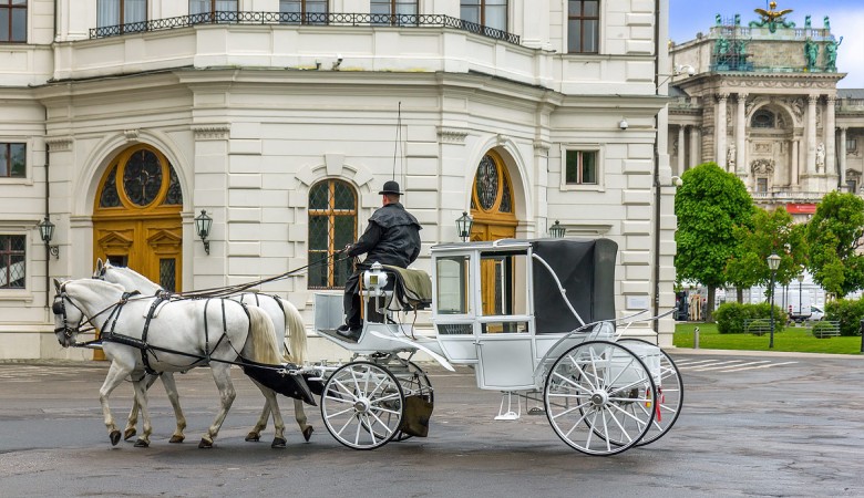 Odjechane Wesele Trójmiasto - Na ślub:<br> DOROŻKA - BRYCZKA