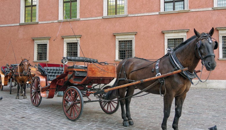 Odjechane Wesele Warszawa - Na ślub:<br> DOROŻKA - BRYCZKA 